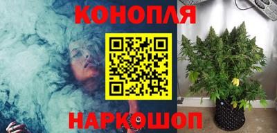 гашик Краснознаменск