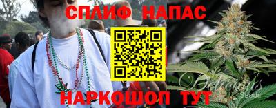 гашик Краснознаменск