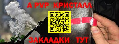 гашик Краснознаменск