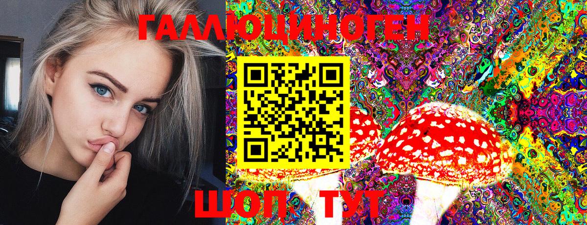 Красноармейск  где можно купить   Вход с VPN  Галлюциногенные грибы Magic Shrooms 